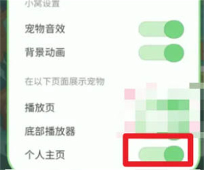 QQ音乐宠物怎么不在主页显示