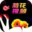 菊花直播官方版