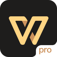 wps office专业版