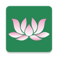 莲花停车安卓版