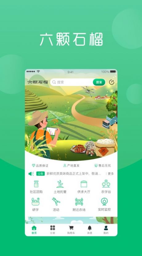 六棵石榴安卓版