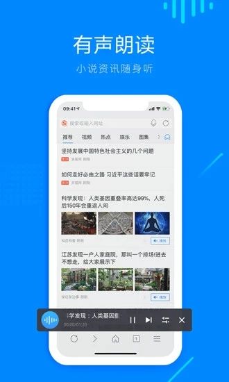safari浏览器