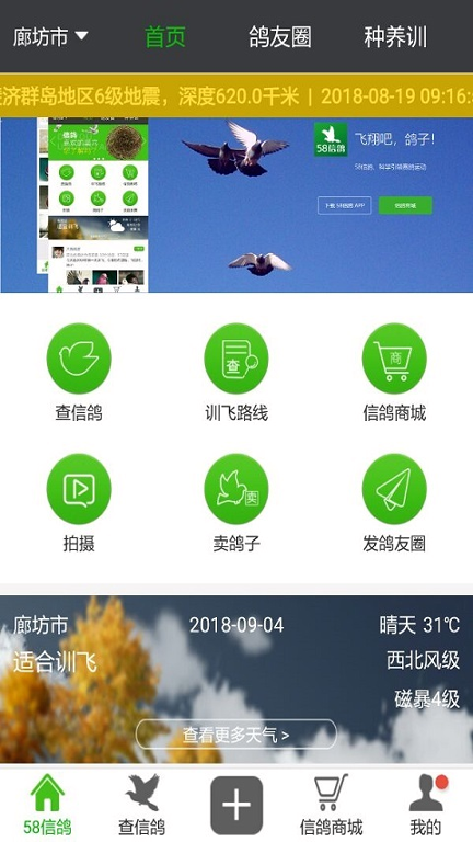 58信鸽