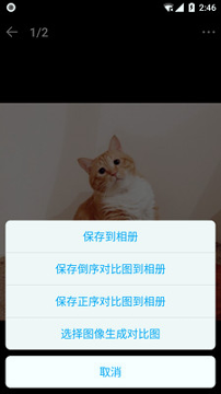 猫咪记账本正式版