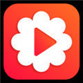 蕾丝app进入窗口入口免费正式版