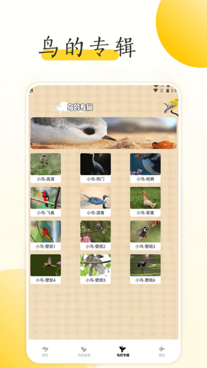 小鸟壁纸大全免费版