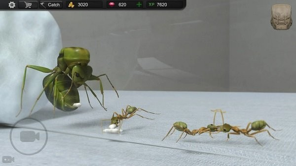 蚂蚁模拟大亨官方版
