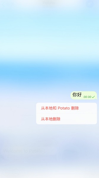 potato chat免费版
