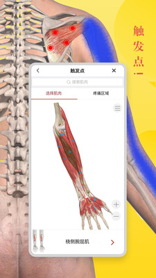 3dbody解剖学软件免费版