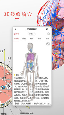 3dbody解剖学软件免费版