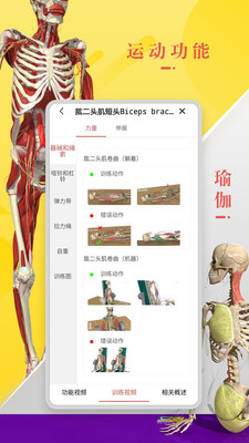 3dbody解剖学软件免费版