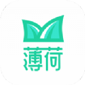 薄荷下载器官方版