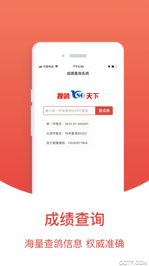 赛鸽头条搜鸽天下